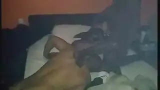 فرو ممتلئة الجسم