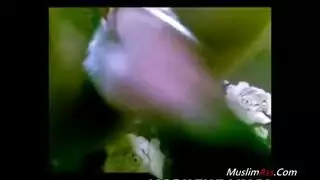 فرج عربية شابة يُدك بجنس خشن