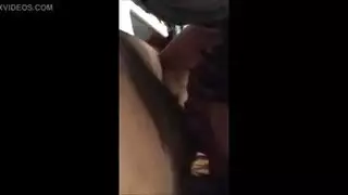 إباحية أفريقية مكثفة مع مص عميق ووضعية كلب قاسية