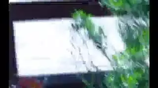 ساره فريد الشرمةطه