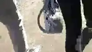 ناضجة هولندية عاهرة تلعق فرجها في الشارع