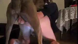 قضيب كلب يفتح مهبل ضيق في جنس حيوانات