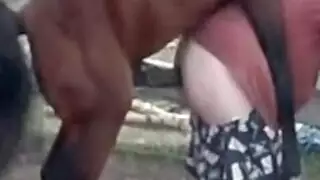 خيال زنا المحارم: الفحل يدق بلا هوادة