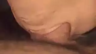 ديك قديم مُدرَّب على الجنس الطائع