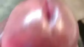 مثلية عاىلة